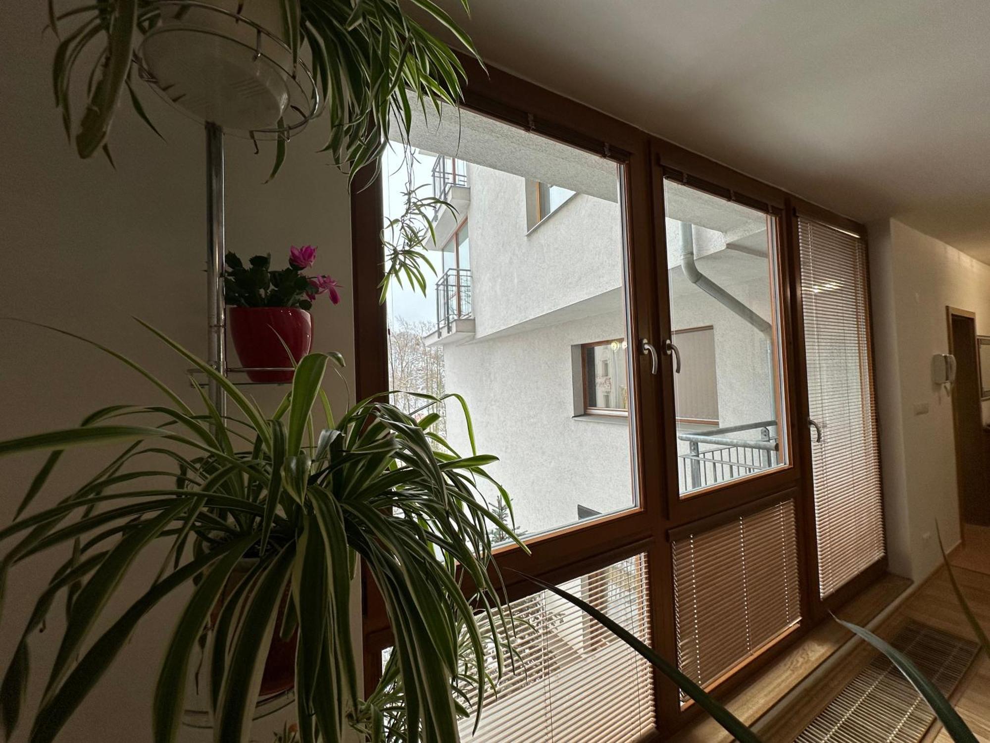 Apartman Na Vyhlidce Leilighet Karlovy Vary Eksteriør bilde